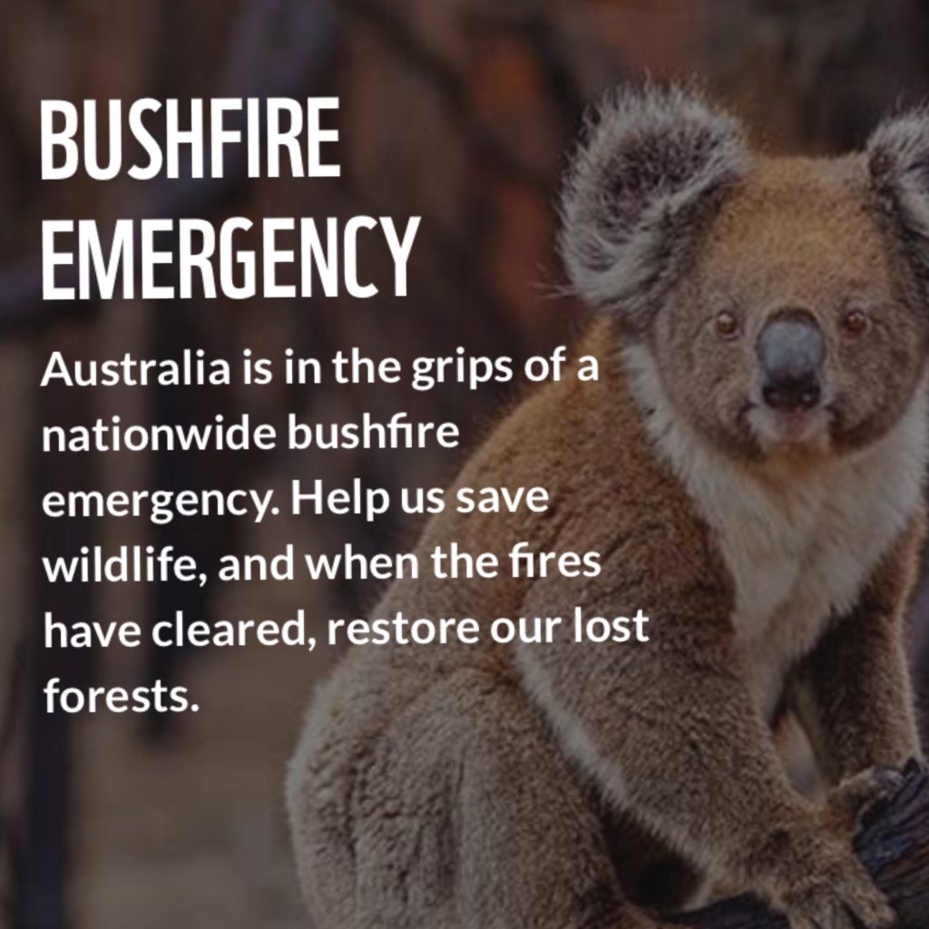 オーストラリア史上最悪の森林火災に助けを 現状と原因 募金方法まとめ 12億匹以上の動物が犠牲に 英語 海外あれこれ パート 2
